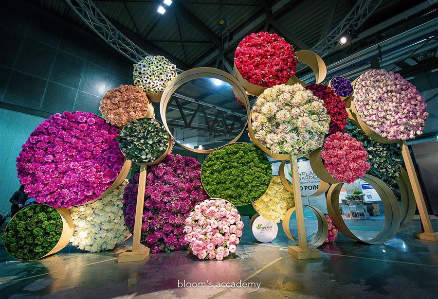 Realizzazione ingresso My Plant 2022