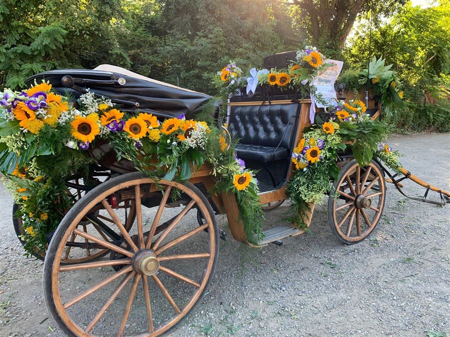 Ripartiamo con un fiore 2 - Toscana