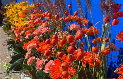 I fiori dell’Associazione Floricoltori e Fioristi Italiani al G7 Inclusione e disabilità