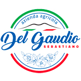 Sebastiano del Gaudio - Azienda agricola del Gaudio