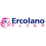 Salvatore Ercolano - Ercolanoflora srl